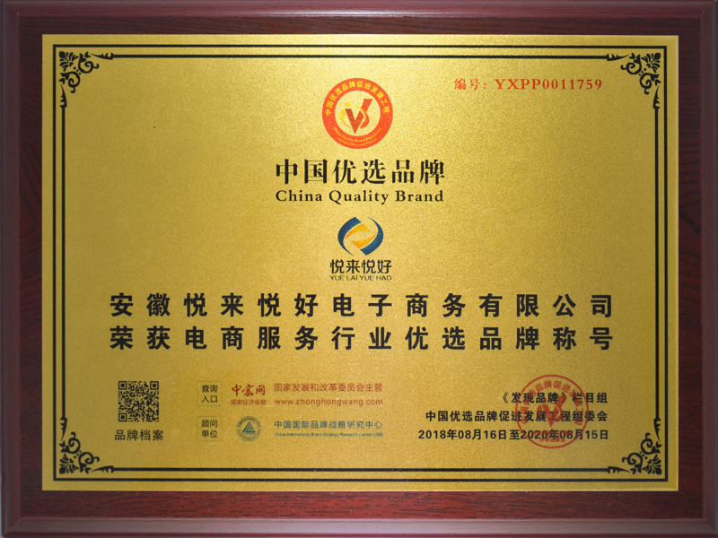 电商服务行业中国优选品牌